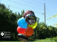 Balloon Photo Near Power Lines with logo
